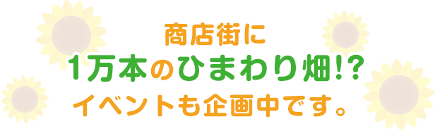 商店街に1万本のひまわり畑!?イベントも企画中です。 